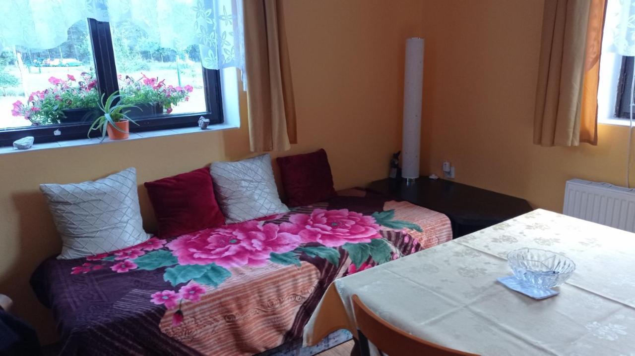 Apartment Ralsko - *